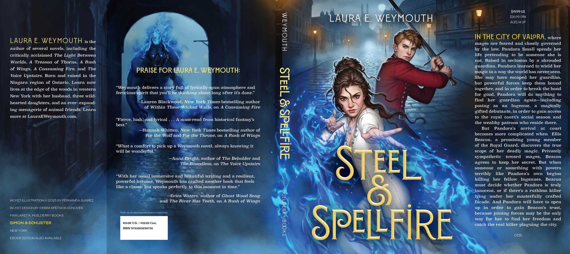 Steel & Spellfire