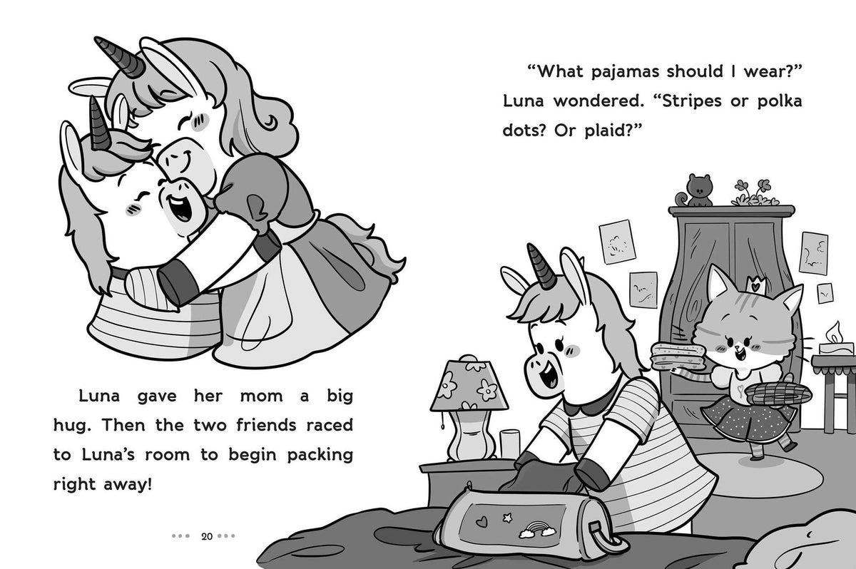 Sleepover Surprise