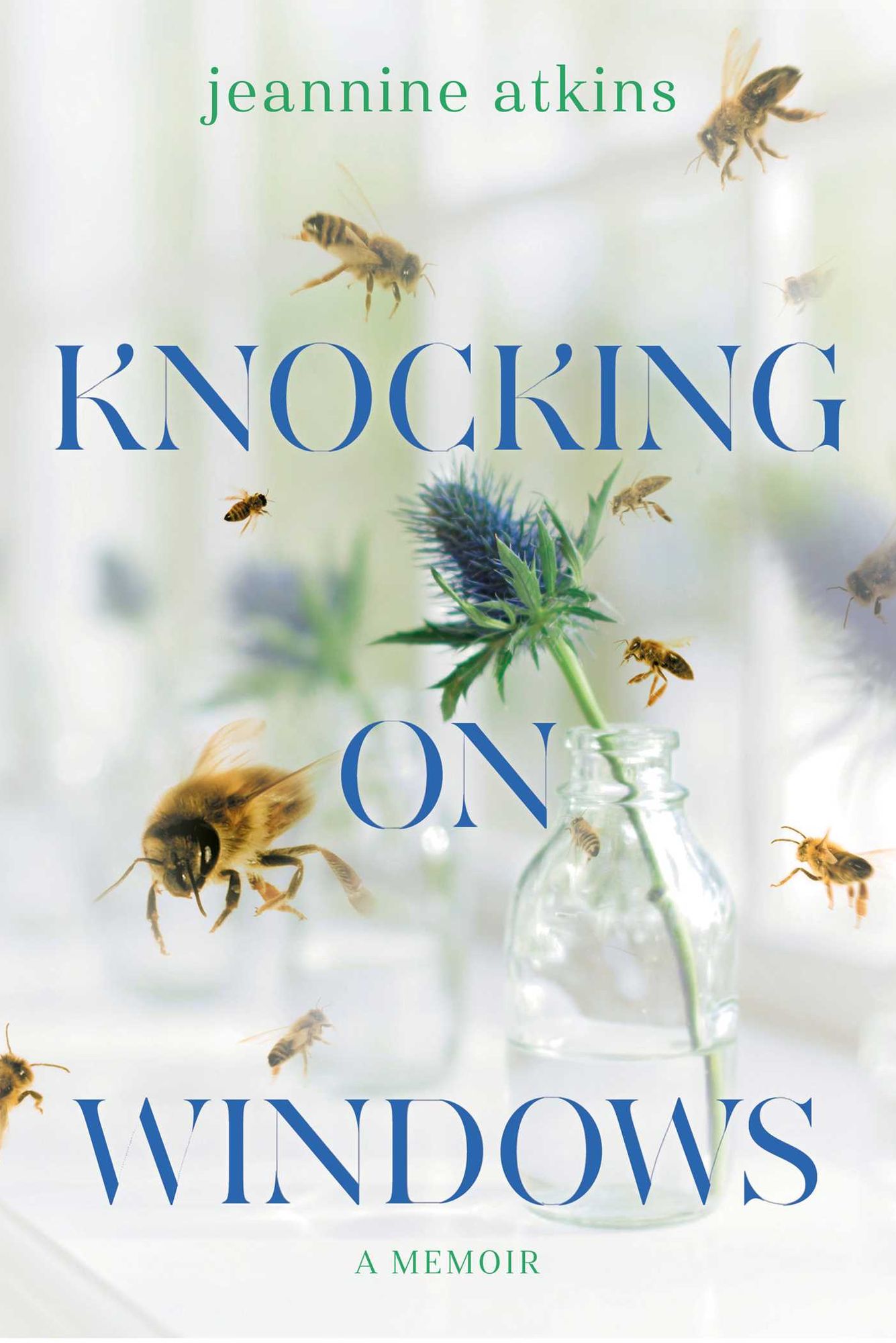 Knocking on Windows: A Memoir