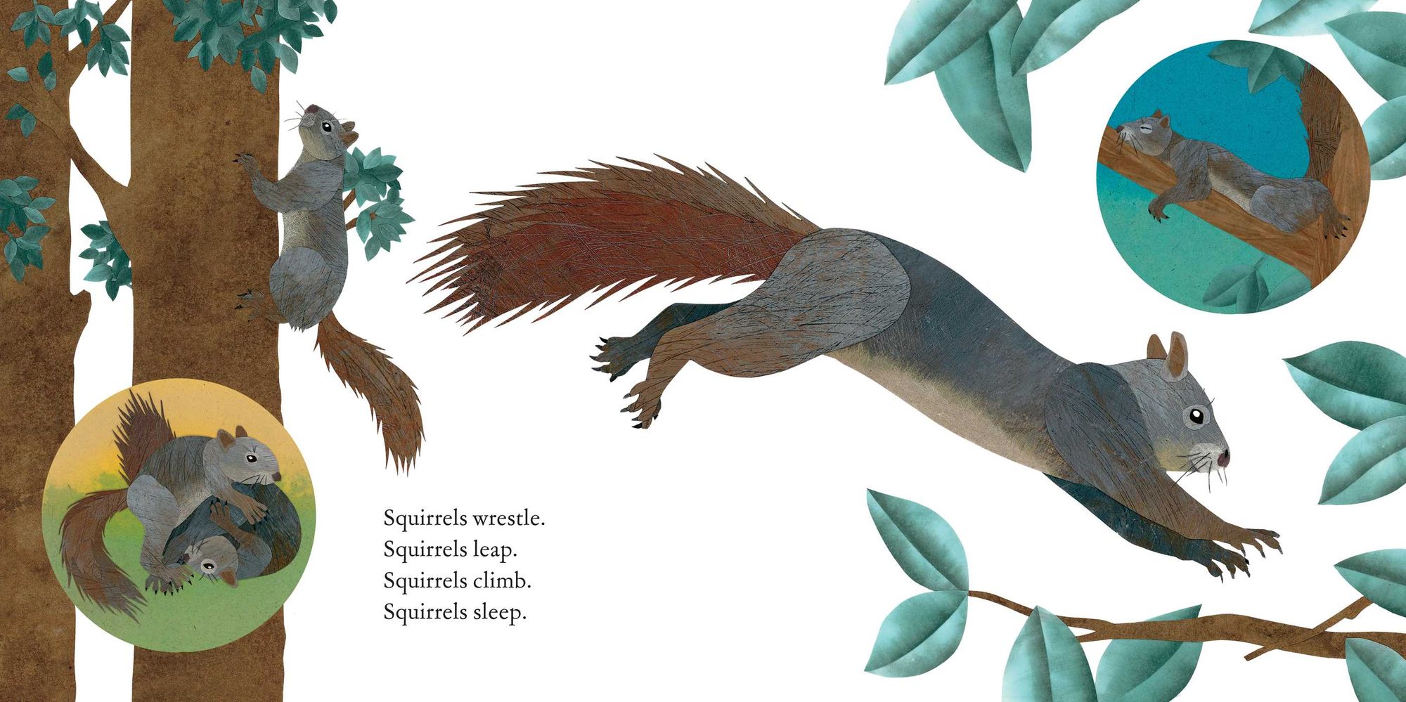Squirrels Leap, Squirrels Sleep
