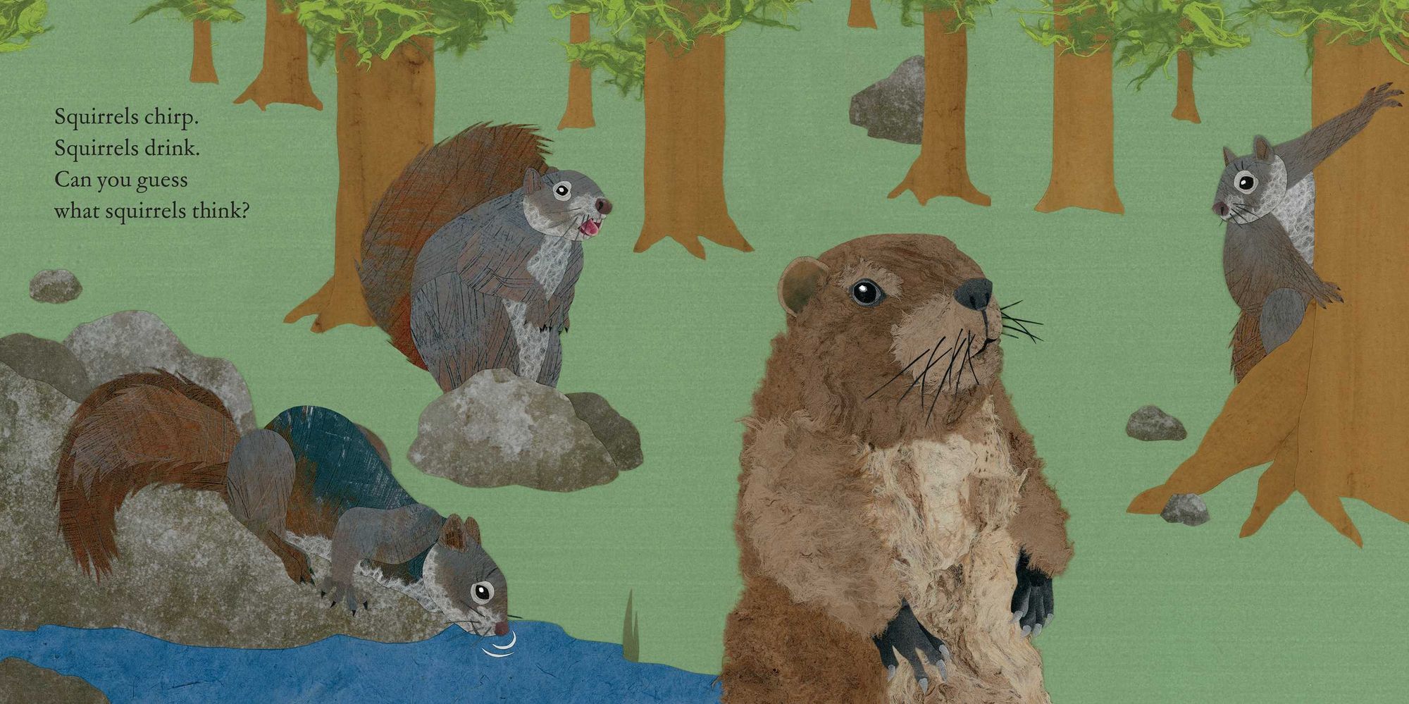 Squirrels Leap, Squirrels Sleep