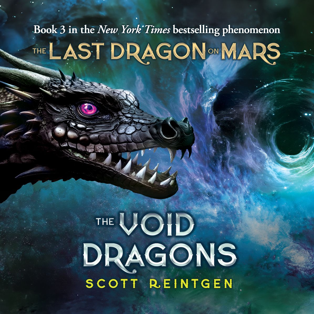 The Void Dragons