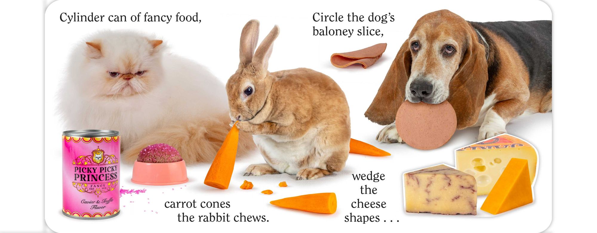 Shape Pet