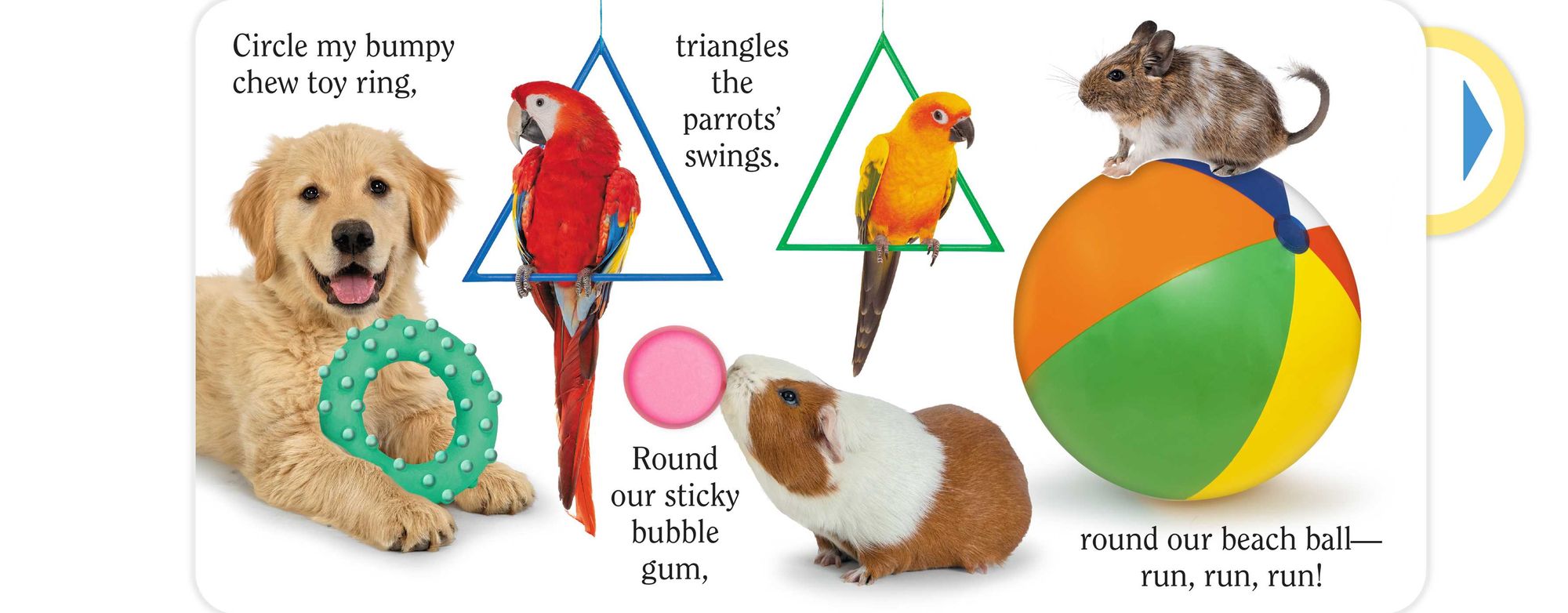 Shape Pet