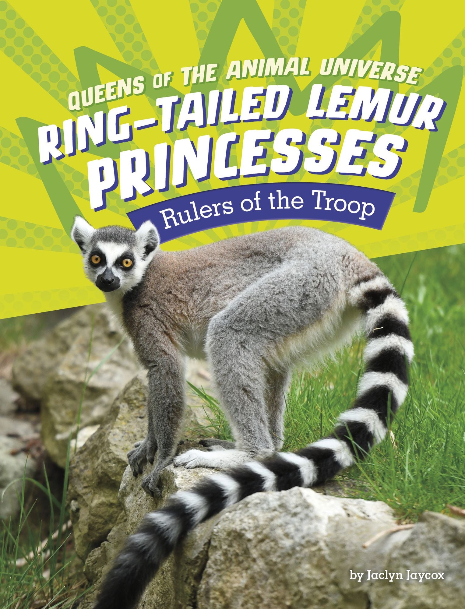 Ring-Tailed Lemur Princesses: Rulers of the Troop