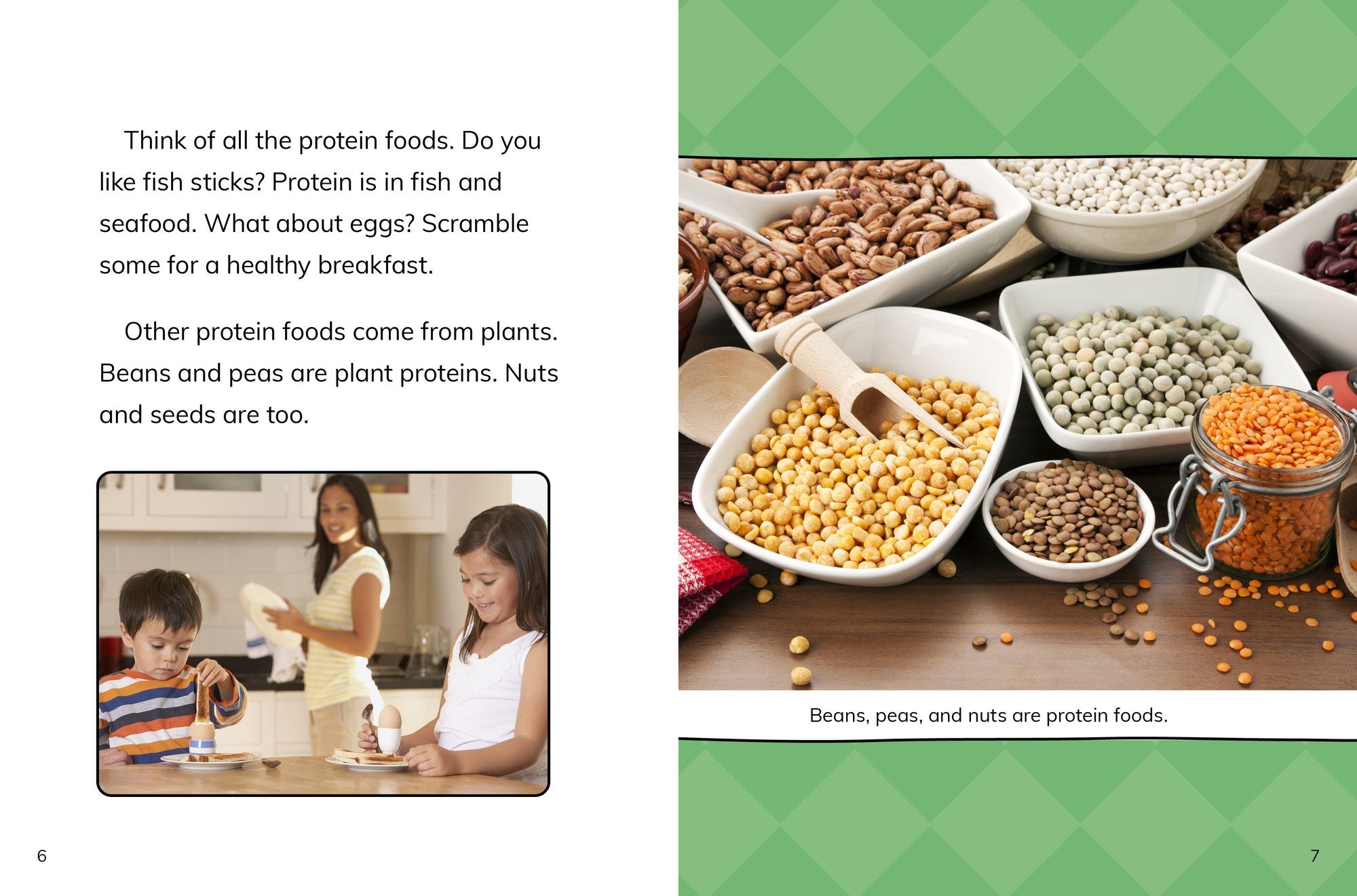 Protein Foods Are Good for You!