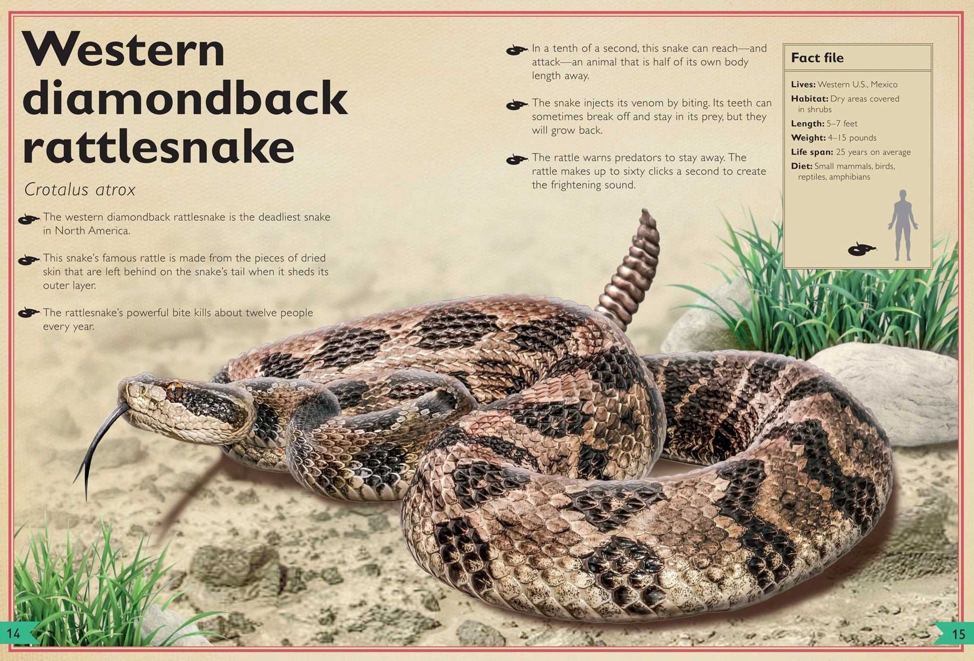 The Magnificent Book of Dangerous Animals