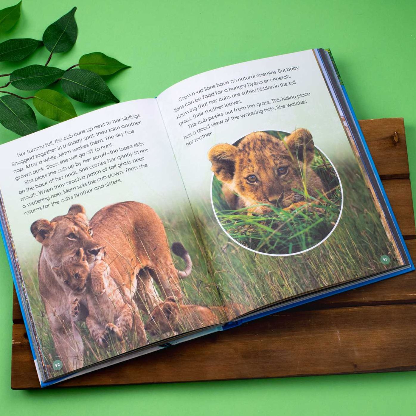 Discovery 5-Minute Animal Tales