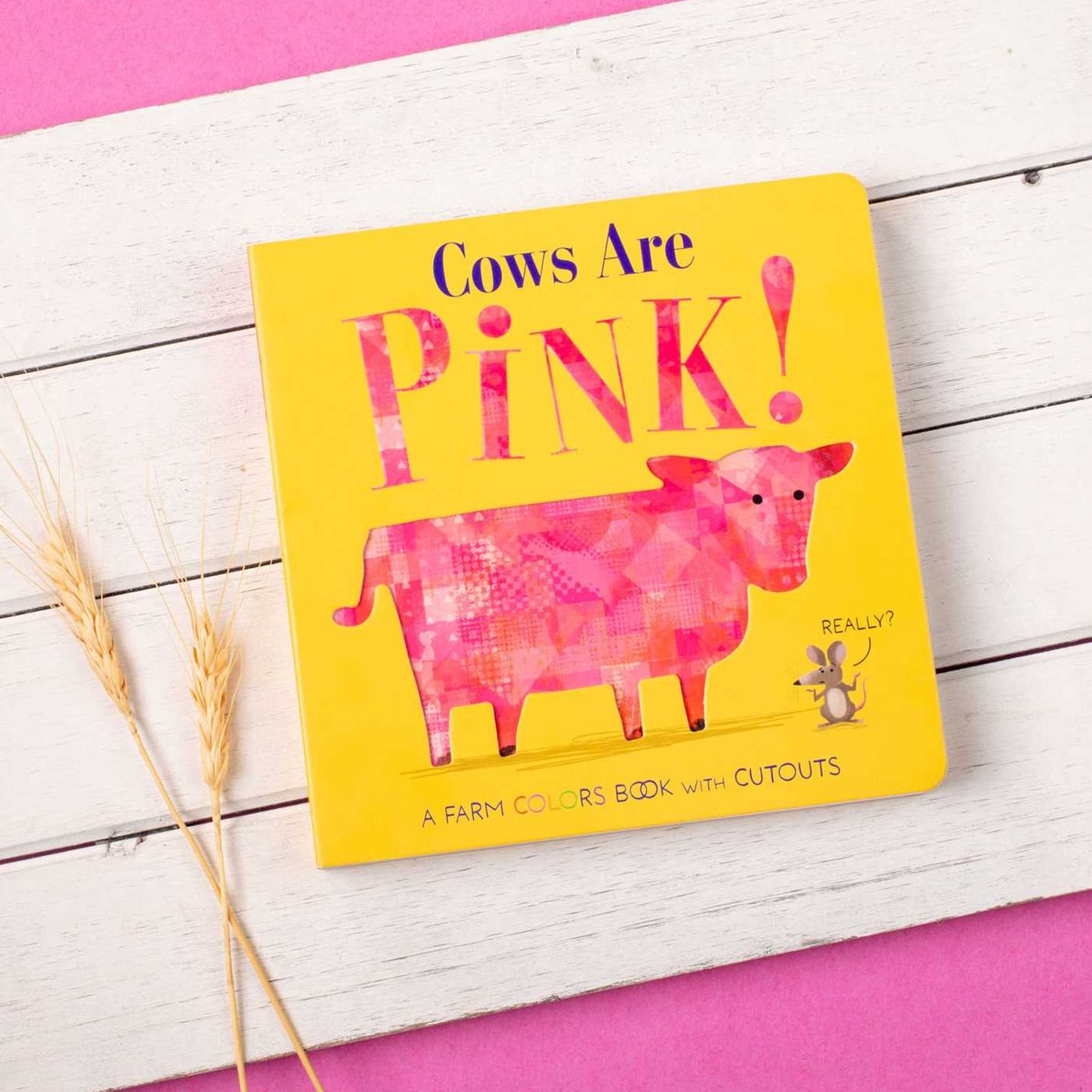 Cows Are Pink!
