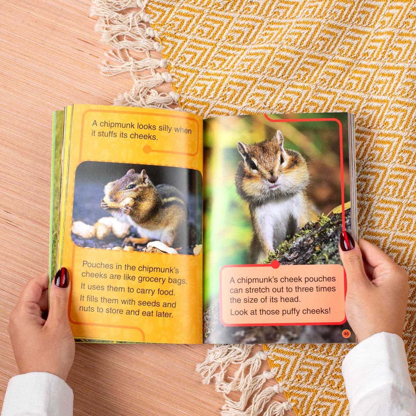 Discovery Kids All-Star Reader: Fluffy, Puffy Animals! Level 1