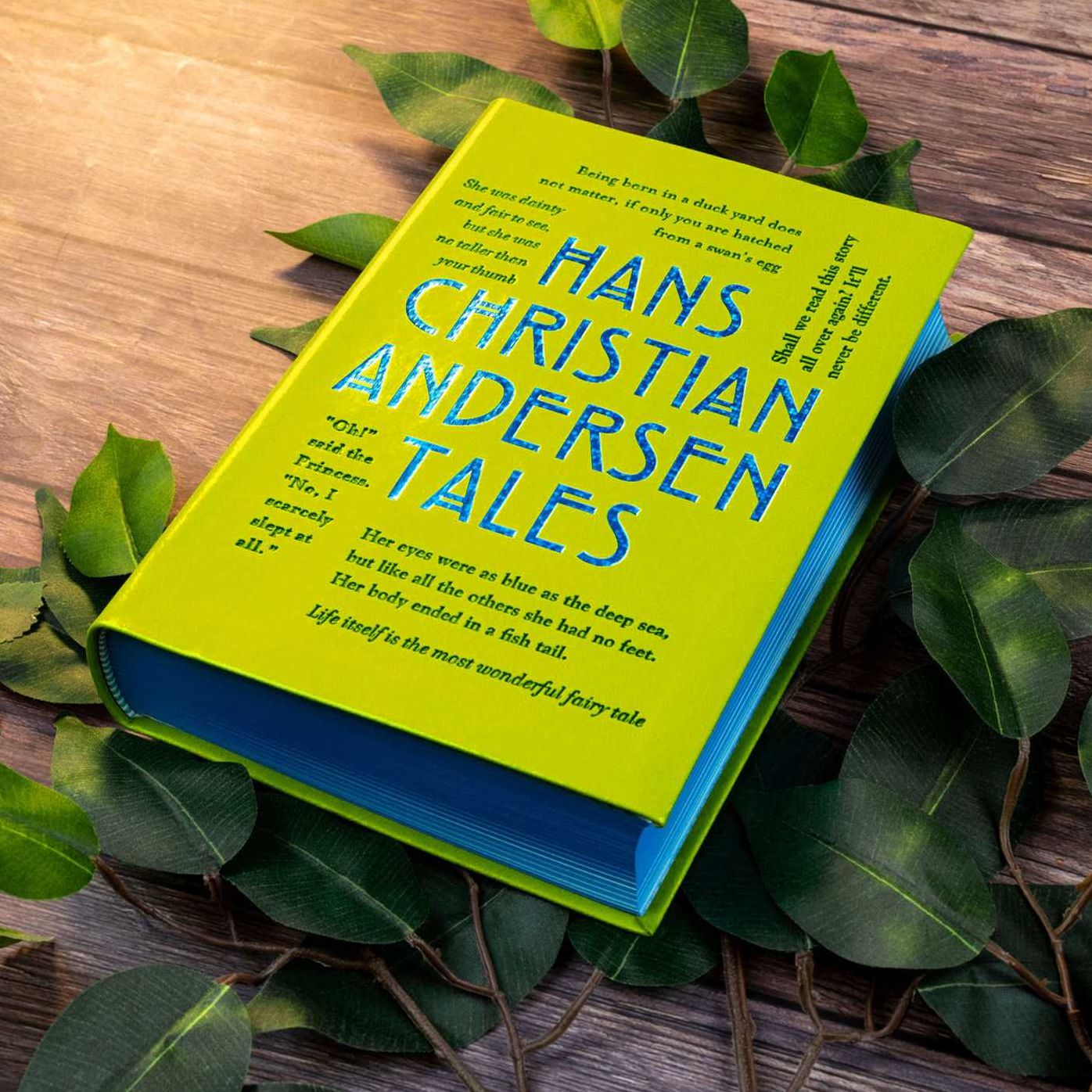 Hans Christian Andersen Tales