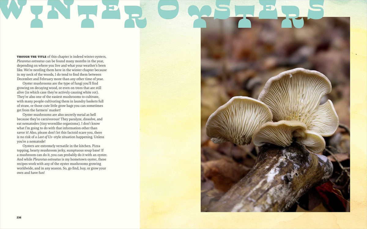 Happy Snacking, Don't Die!: Foraging and Vegan Recipes with Black Forager (A Cookbook)