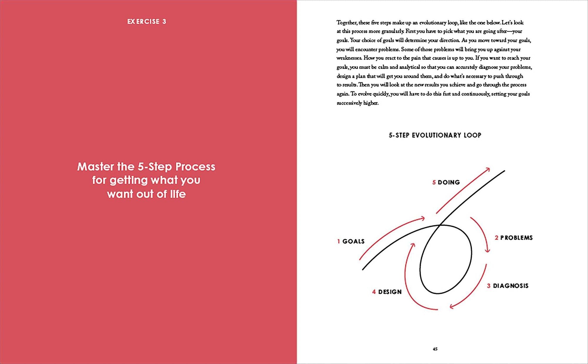Principles: Your Guided Journal (Create Your Own Principles to Get the Work and Life You Want)