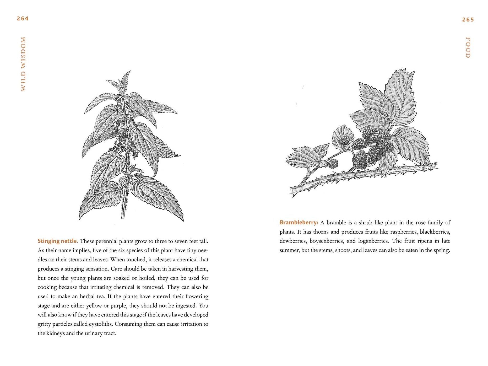 Wild Wisdom: Primal Skills to Survive in Nature