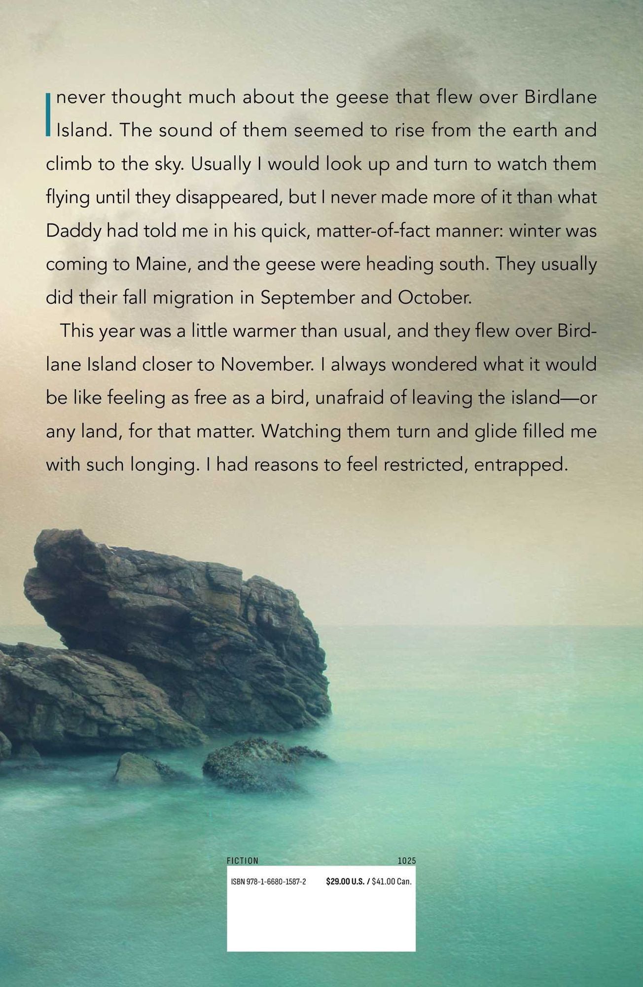 Birdlane Island: A Novel