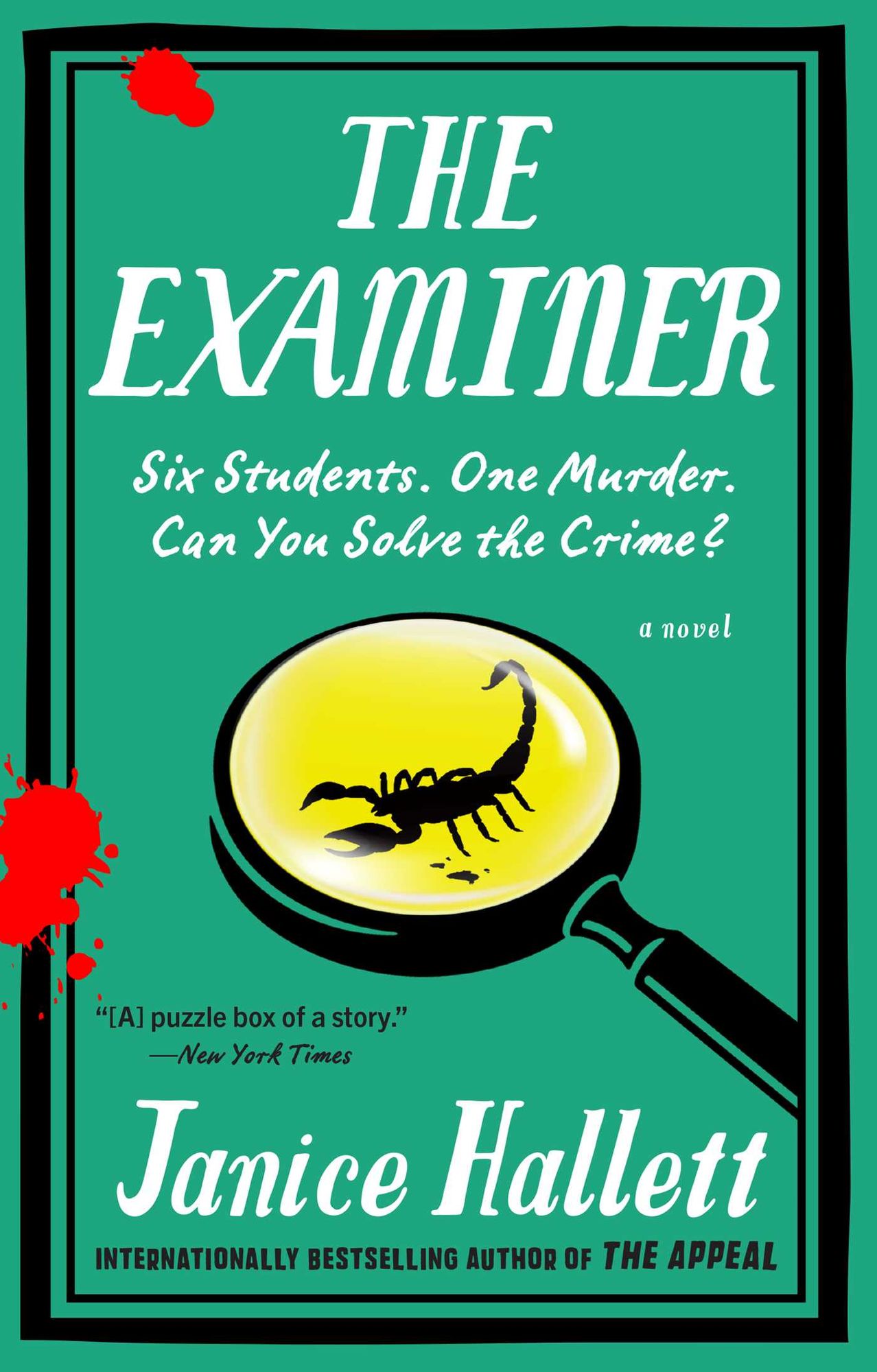 The Examiner: A Novel