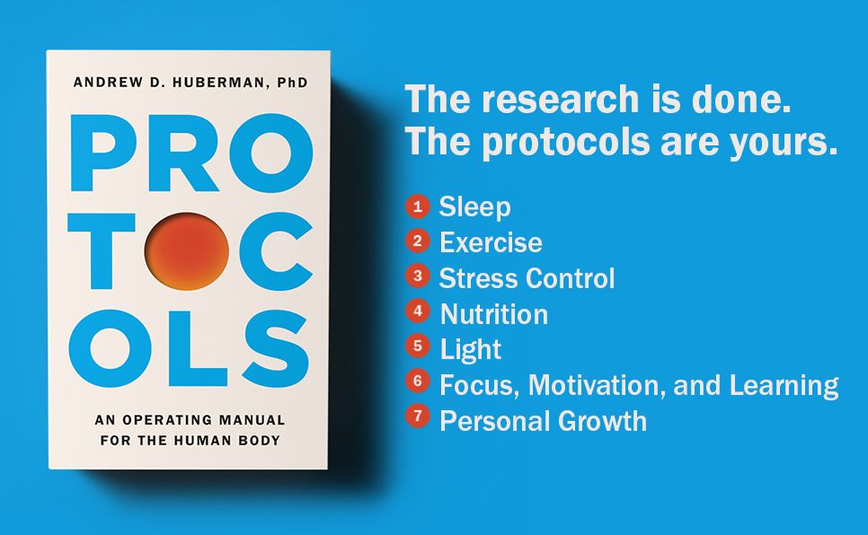 Protocols: An Operating Manual for the Human Body