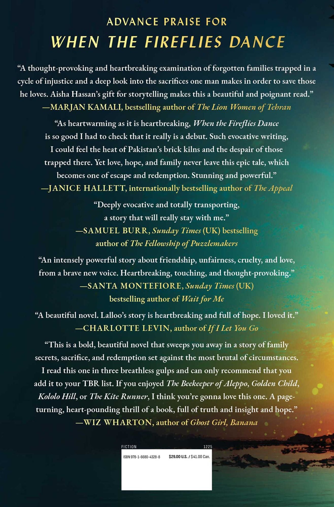 When the Fireflies Dance: A Novel