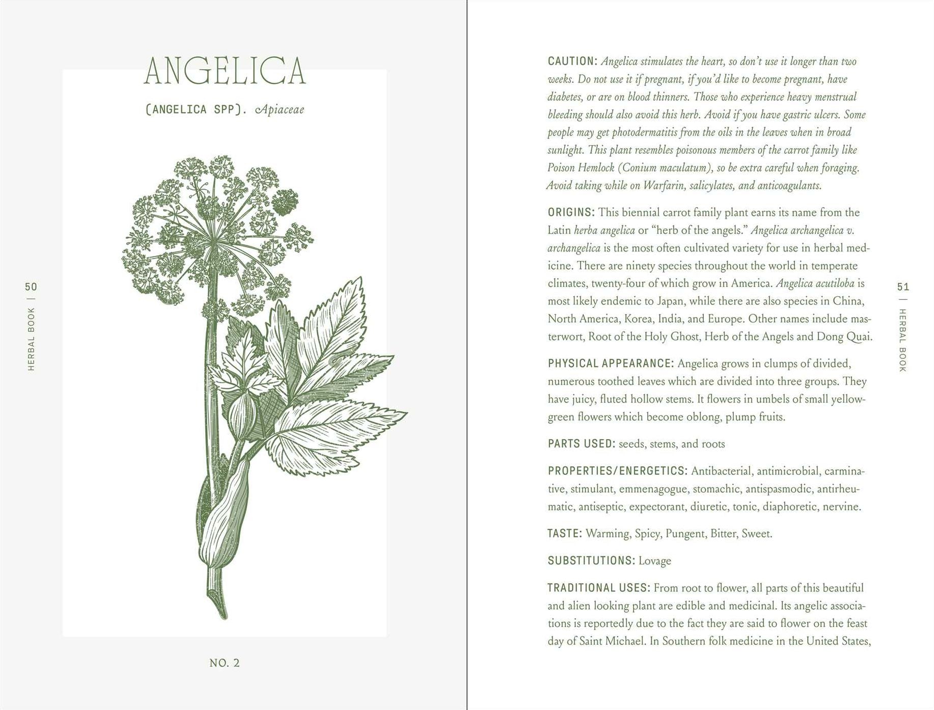 The Complete Folk Herbal: An Illustrated Guide to Natural Remedies and Everyday Healing