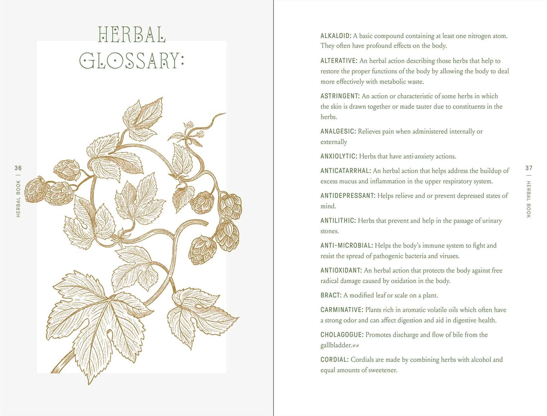 The Complete Folk Herbal: An Illustrated Guide to Natural Remedies and Everyday Healing