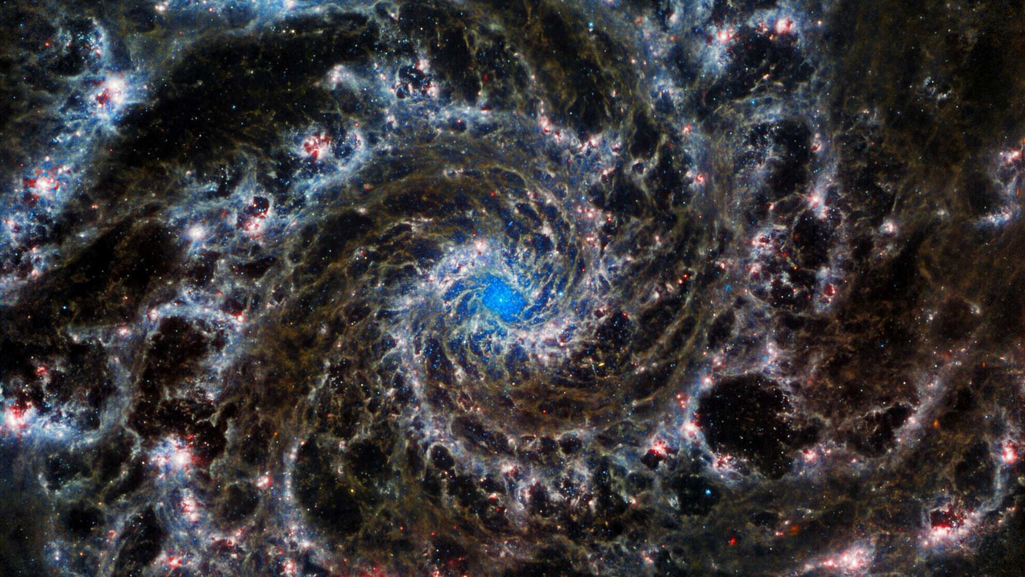 The Secret Life of the Universe: An Astrobiologist's Search for the Origins and Frontiers of Life