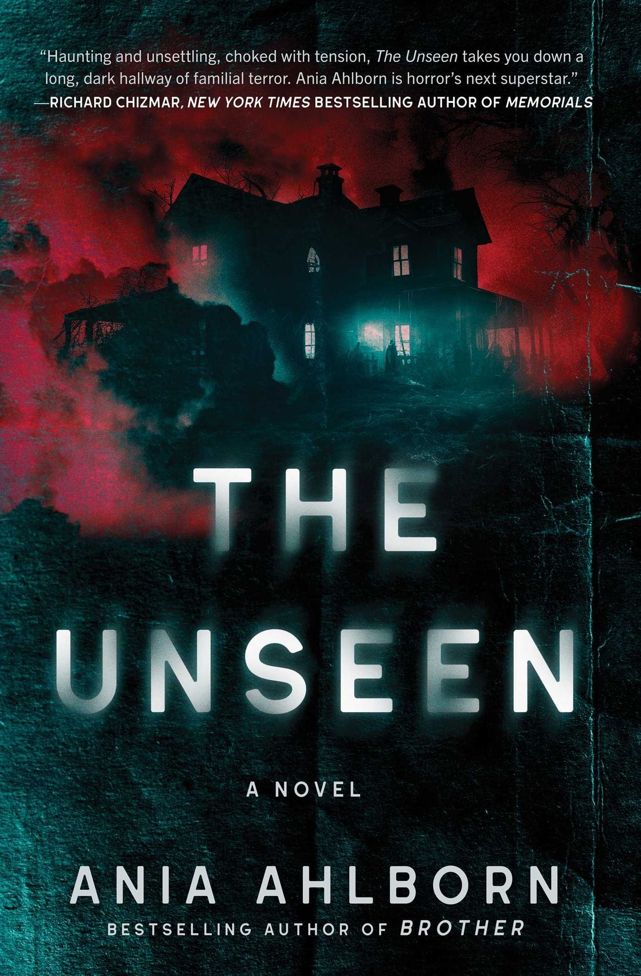 The Unseen: A Novel