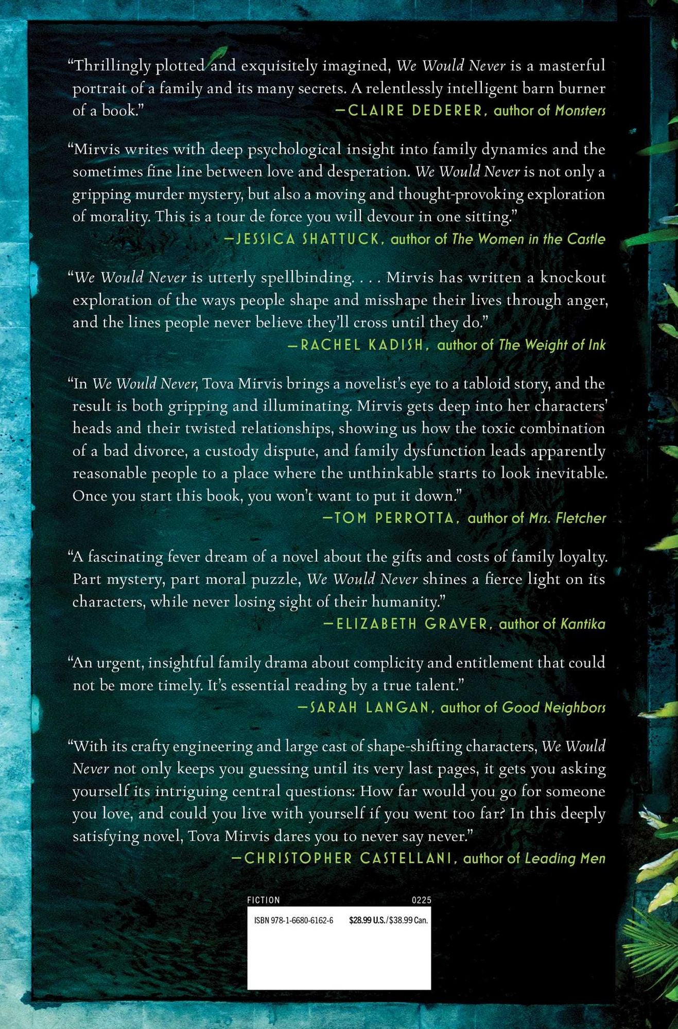 We Would Never: A Novel