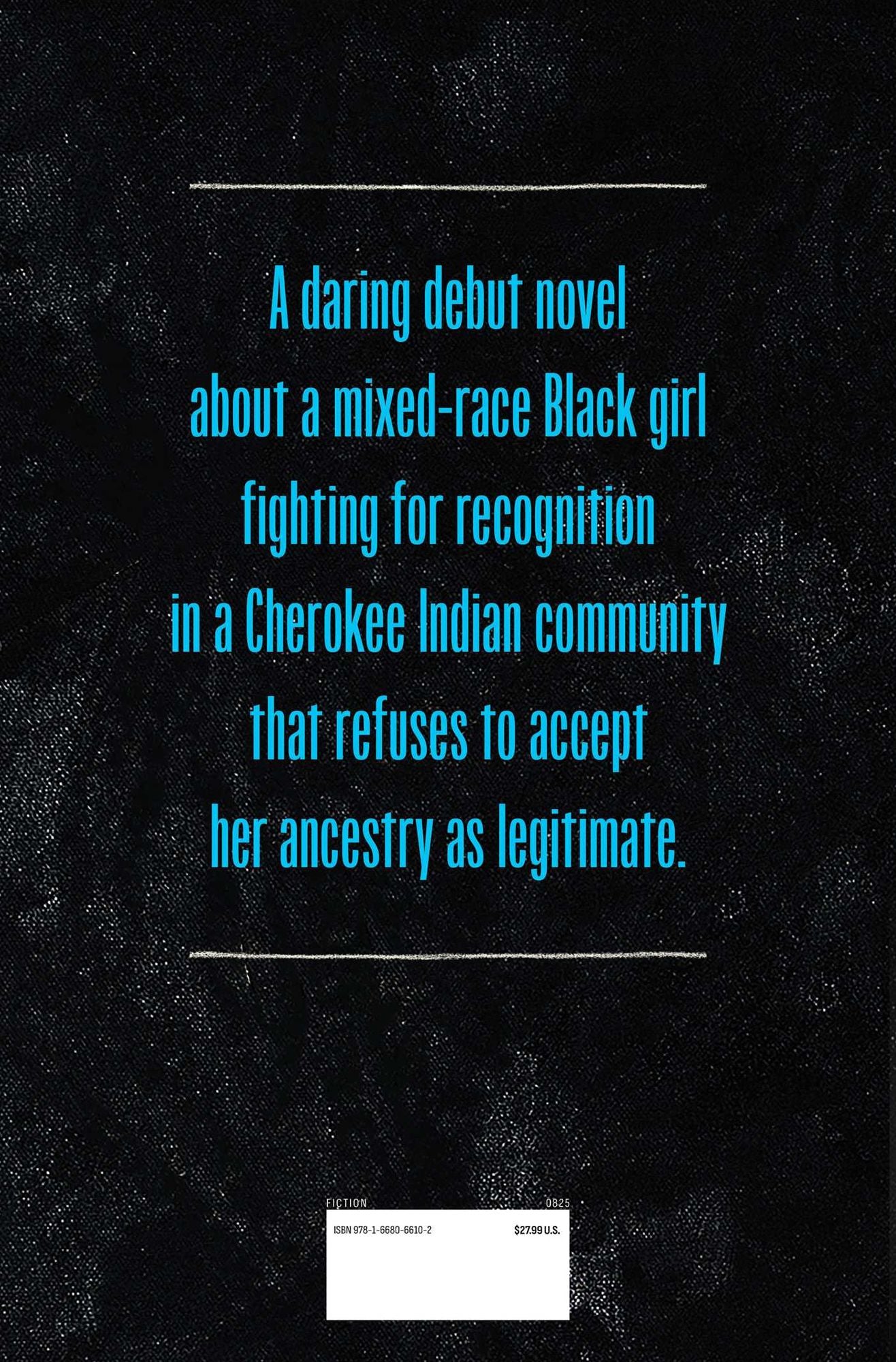 Black Cherokee: A Novel