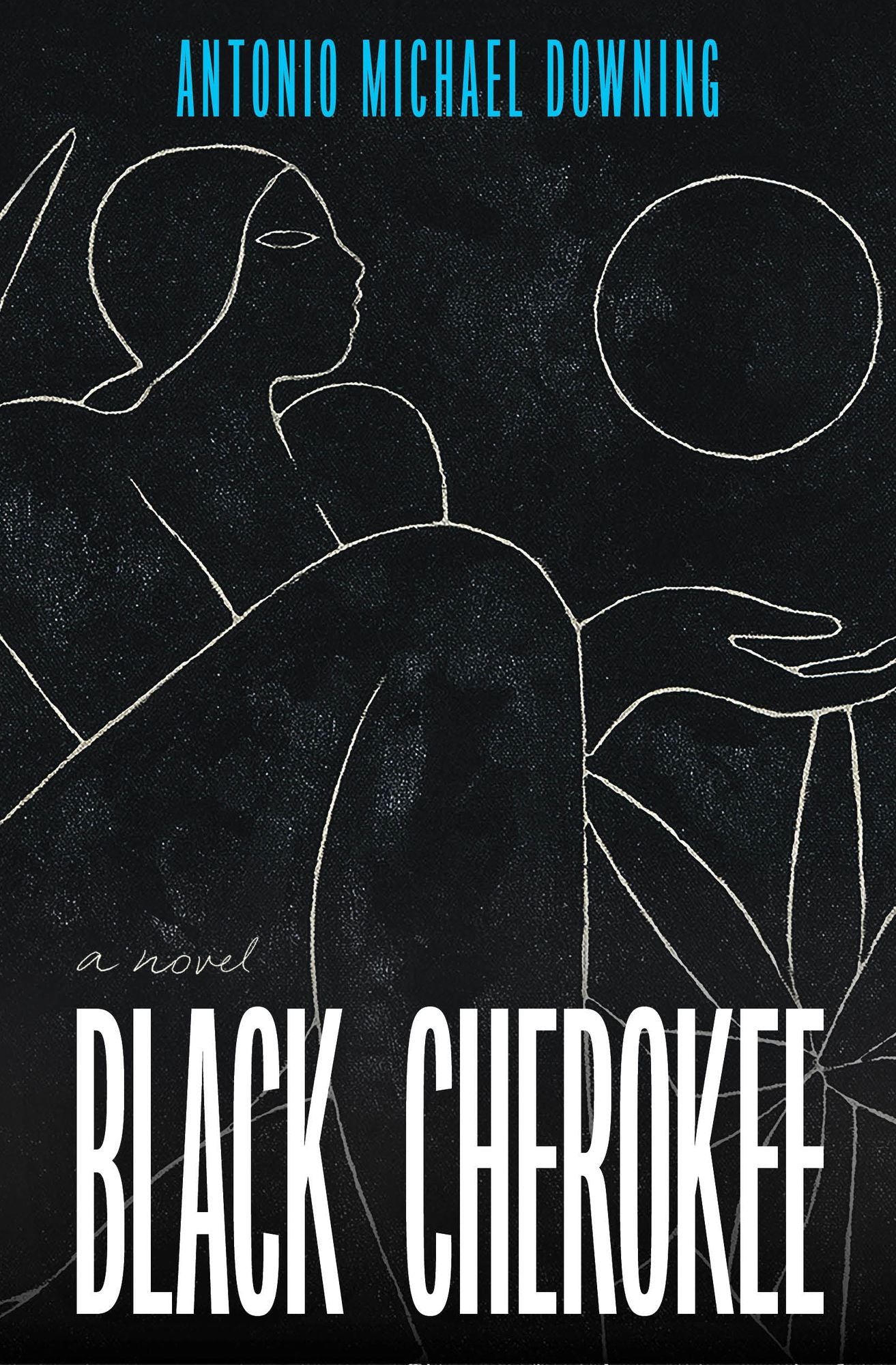 Black Cherokee: A Novel