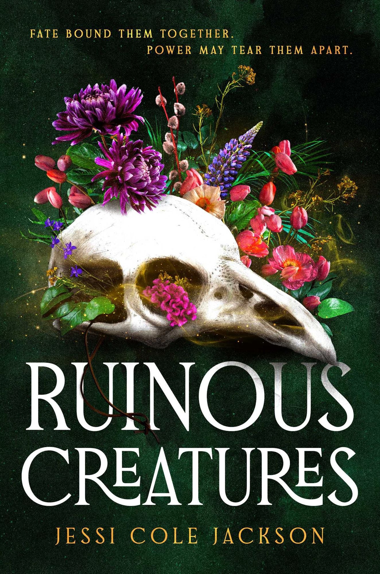 Ruinous Creatures: A Novel