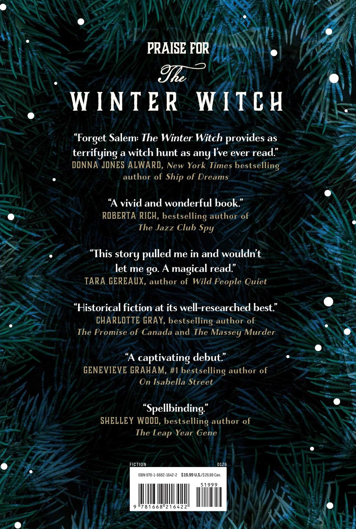 The Winter Witch: A Novel