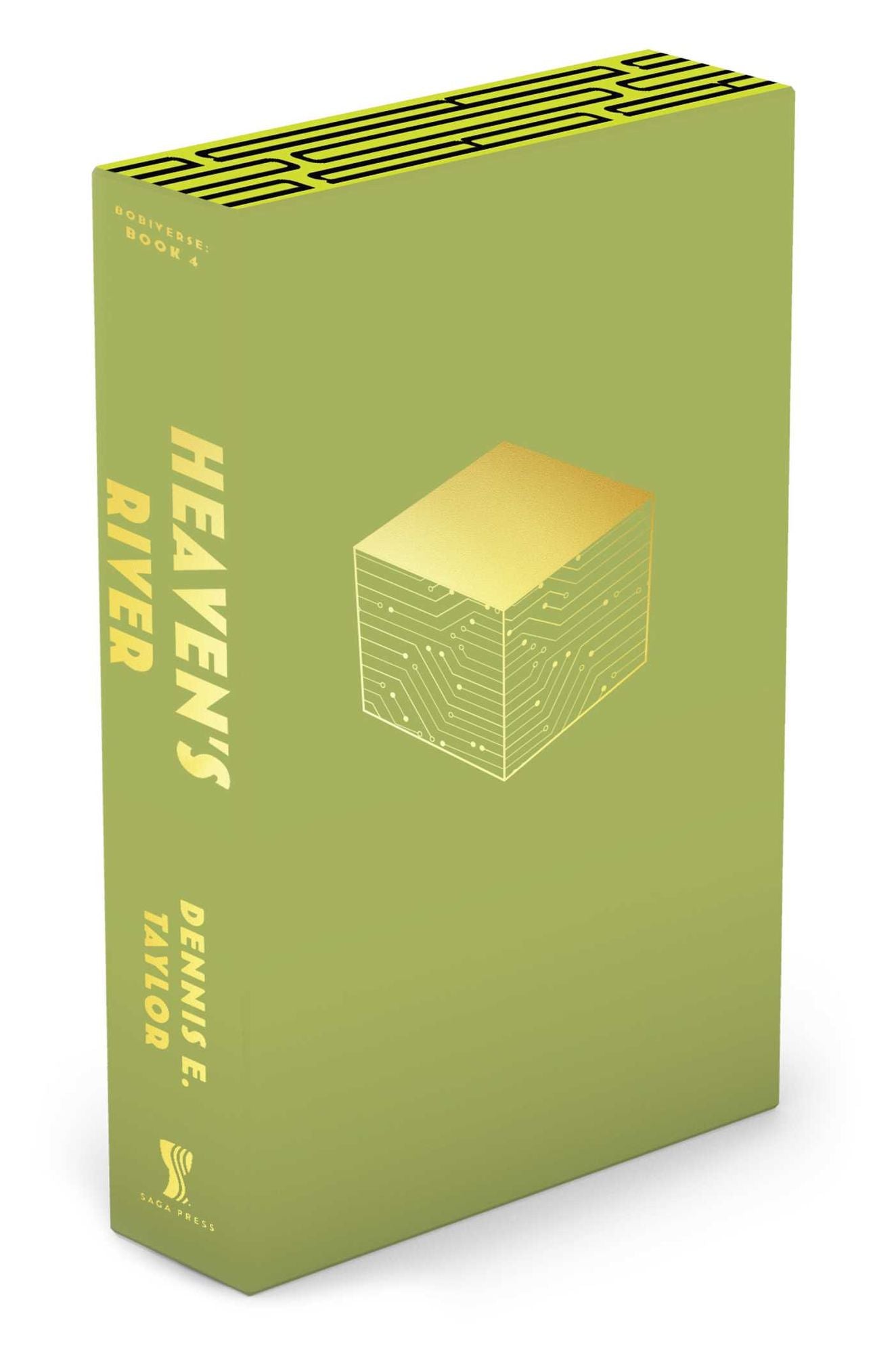 Heaven's River (Bobiverse Series #4)