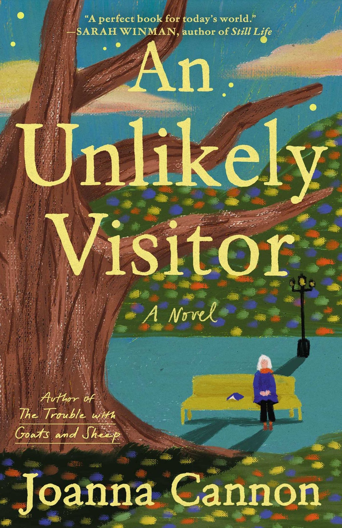 An Unlikely Visitor: A Novel