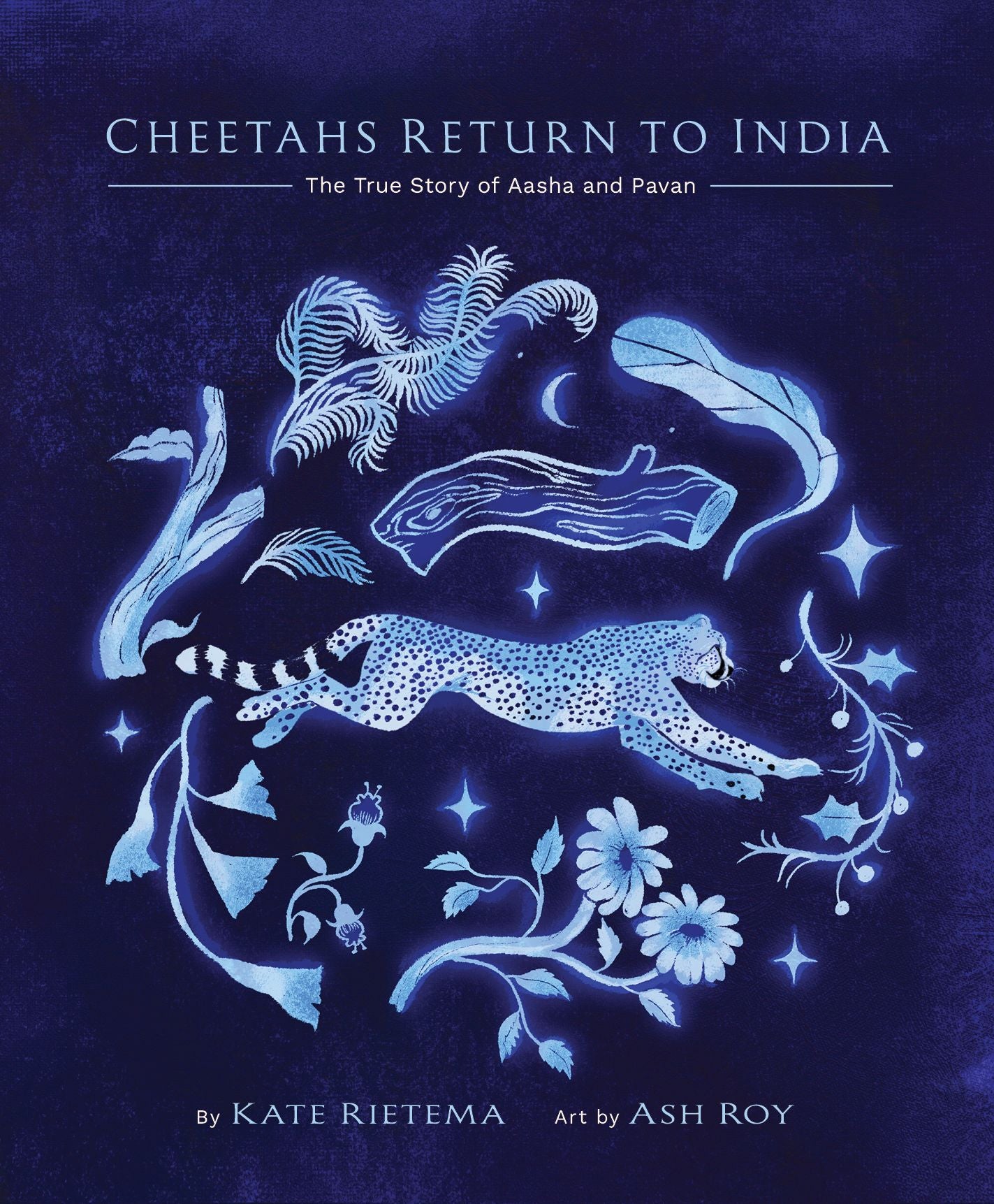 Cheetahs Return to India: The True Story of Aasha and Pavan