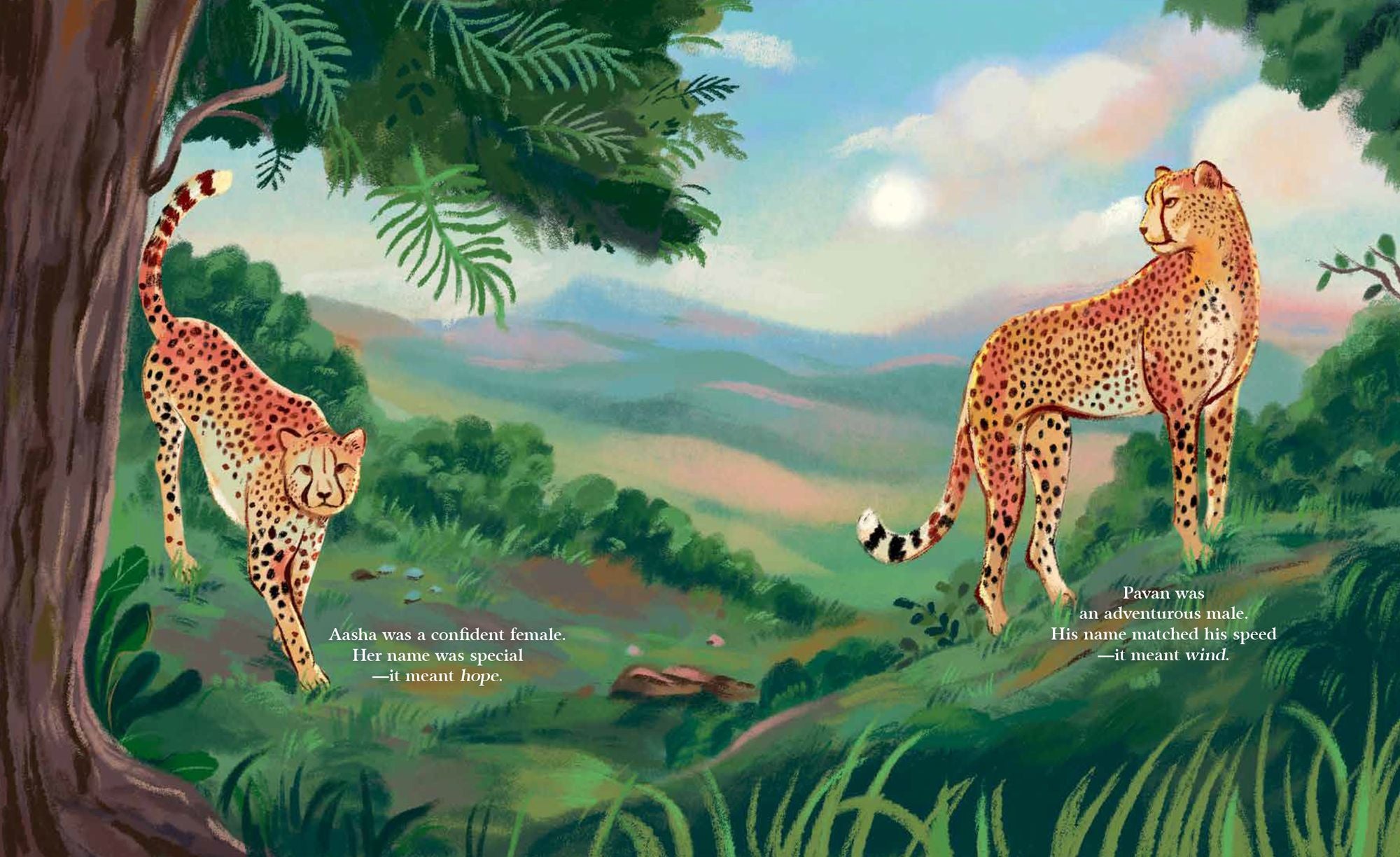 Cheetahs Return to India: The True Story of Aasha and Pavan