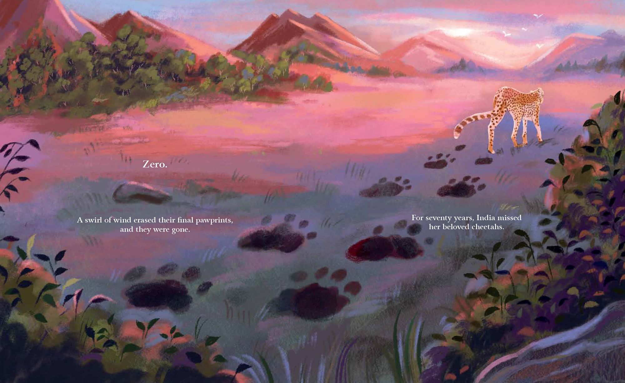 Cheetahs Return to India: The True Story of Aasha and Pavan