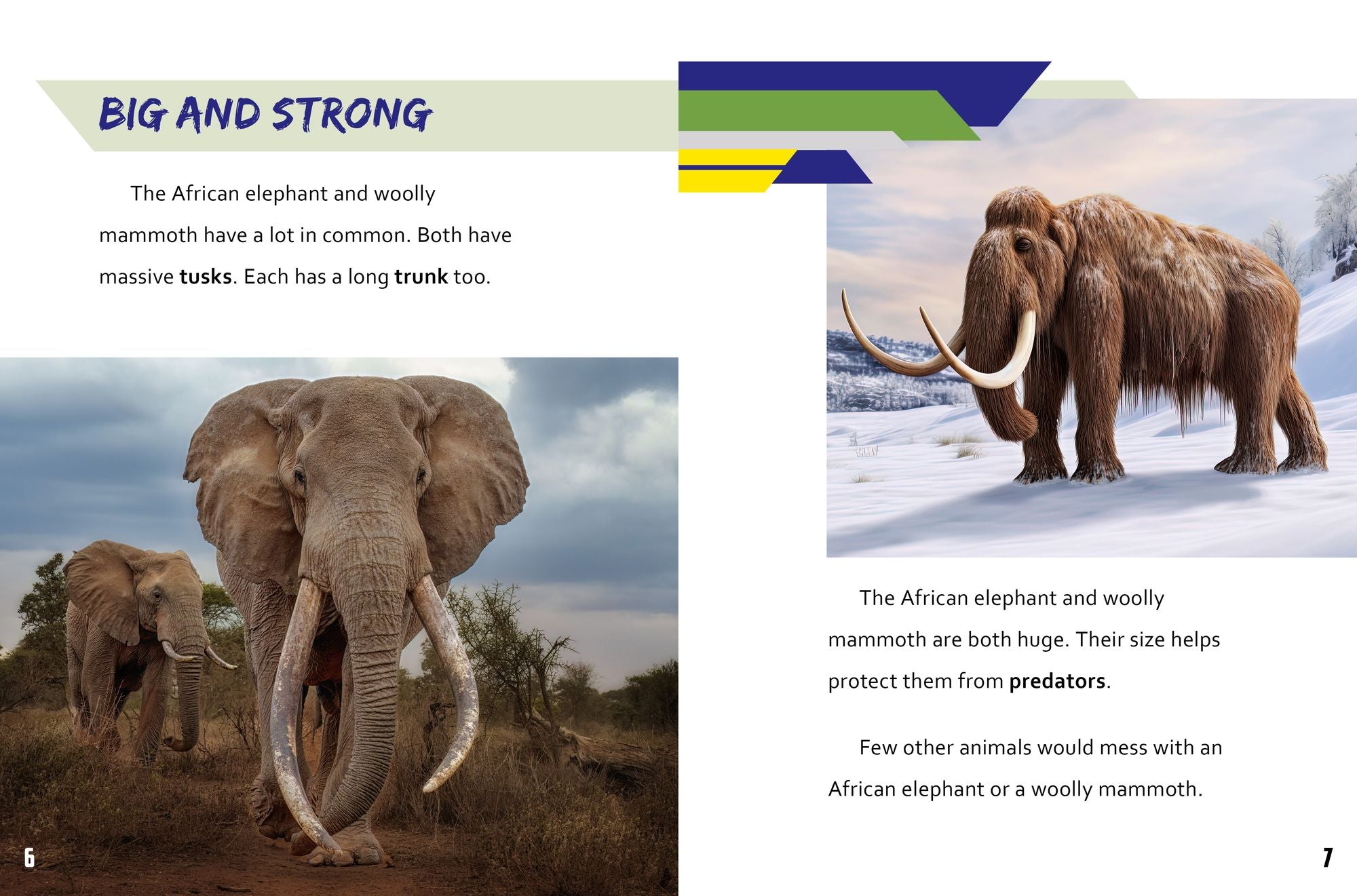 African Elephant vs. Woolly Mammoth