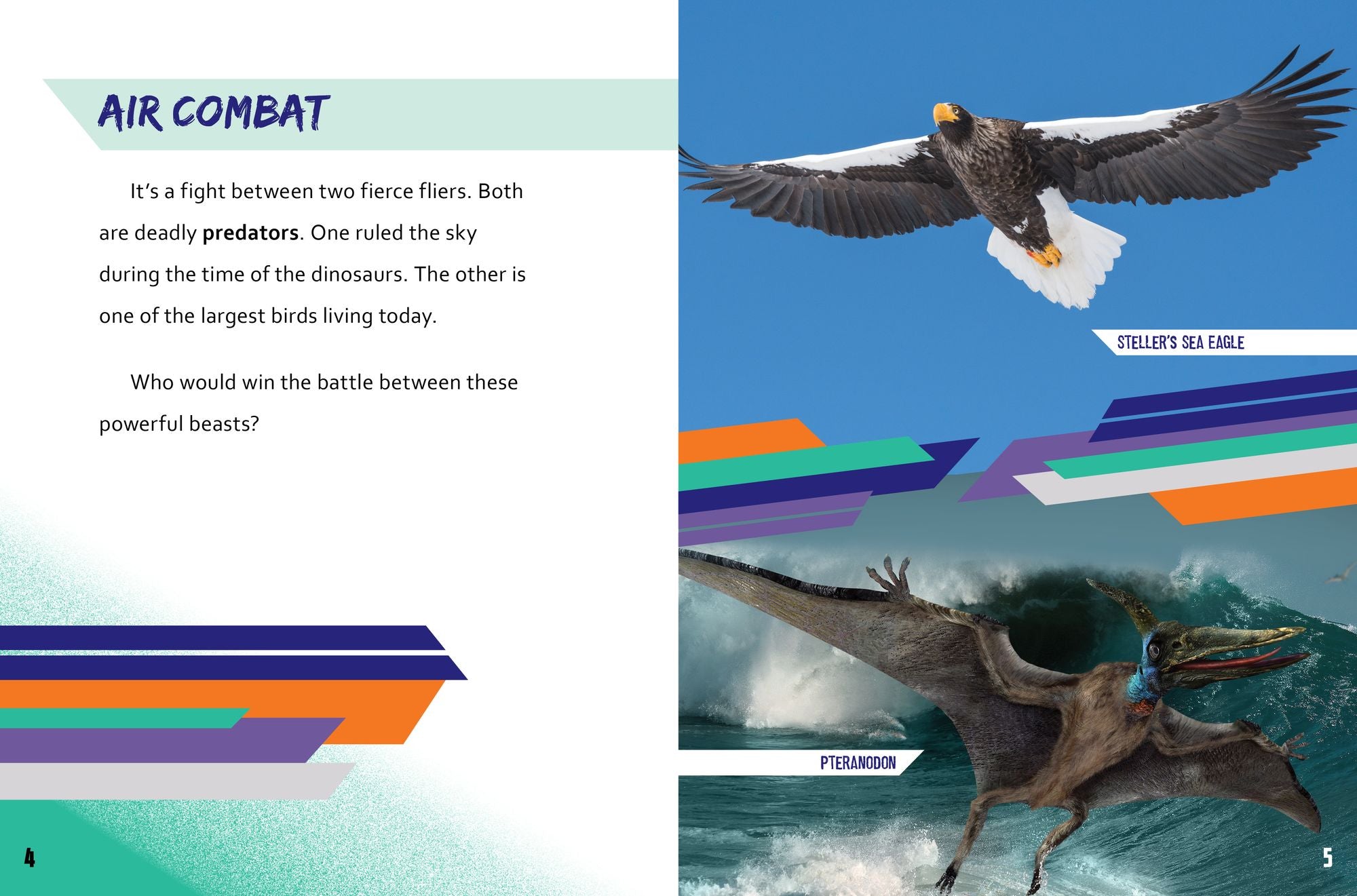 Steller's Sea Eagle vs. Pteranodon