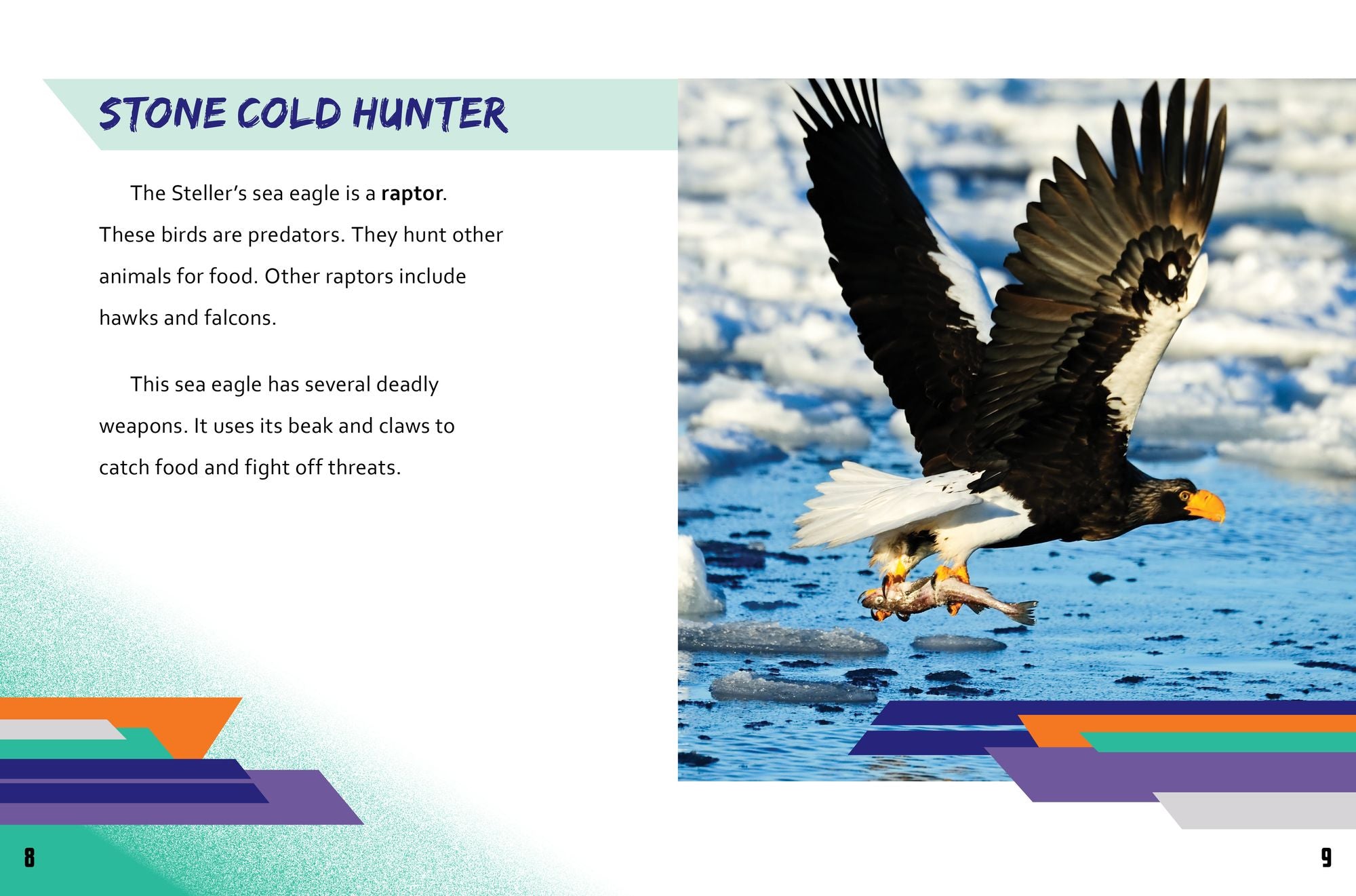 Steller's Sea Eagle vs. Pteranodon