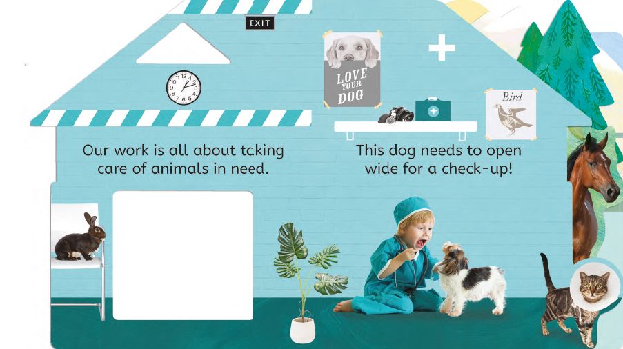 Let's Pretend Animal Hospital
