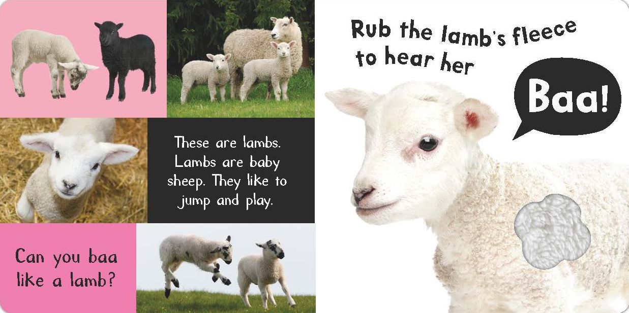 Noisy Farm: Includes 6 Sounds and an On/Off Switch on the Back Cover!
