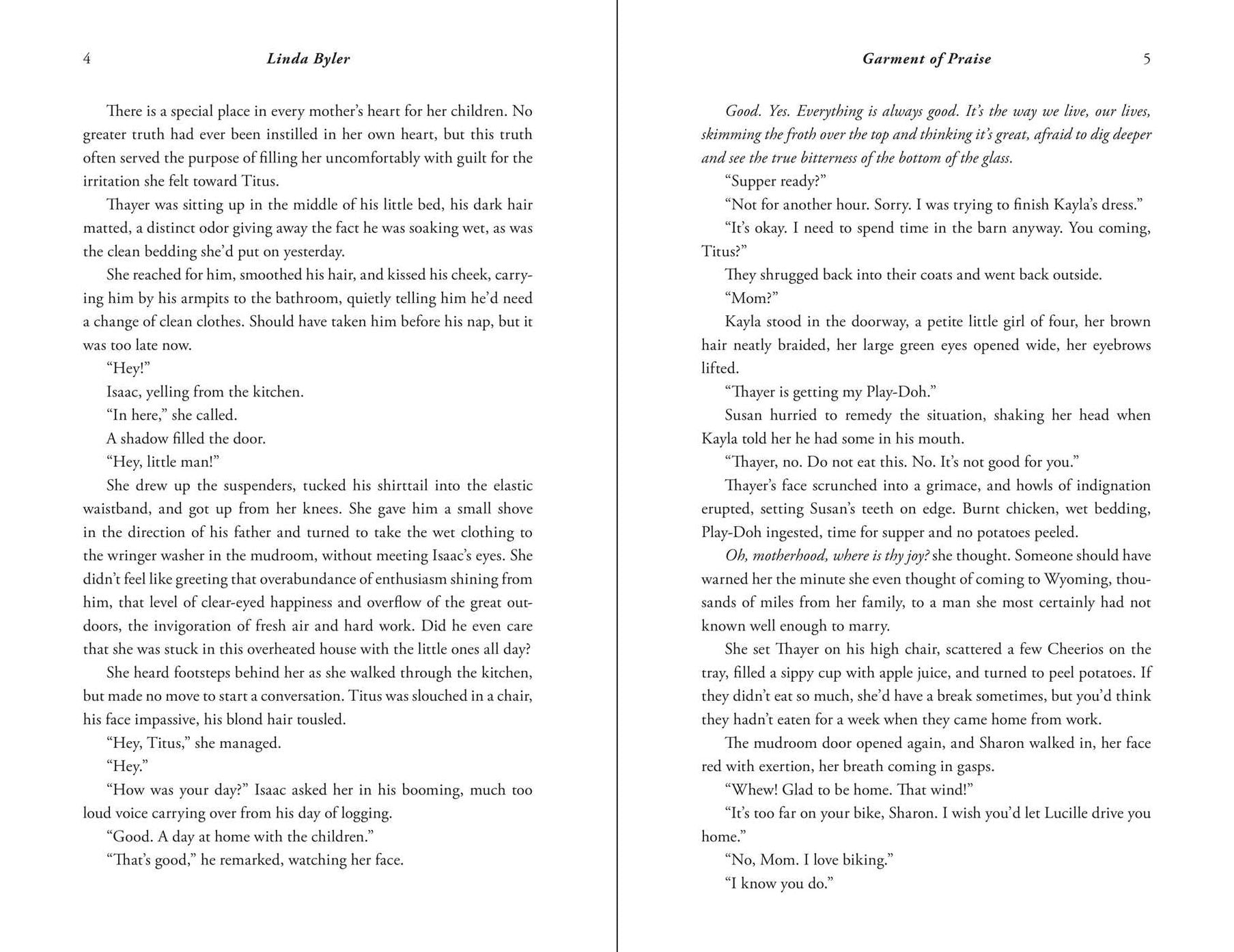 Garment of Praise: An Amish Romance