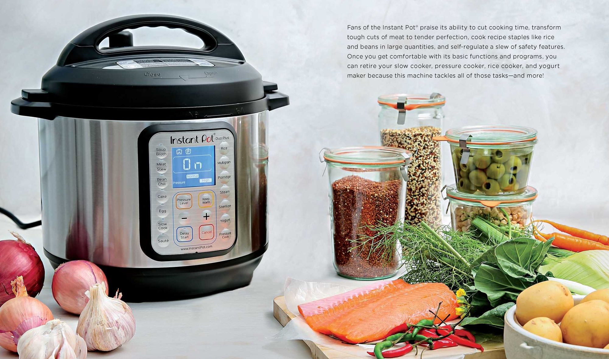 Everyday Instant Pot: Great Recipes to Make for Any Meal in your Electric Pressure Cooker