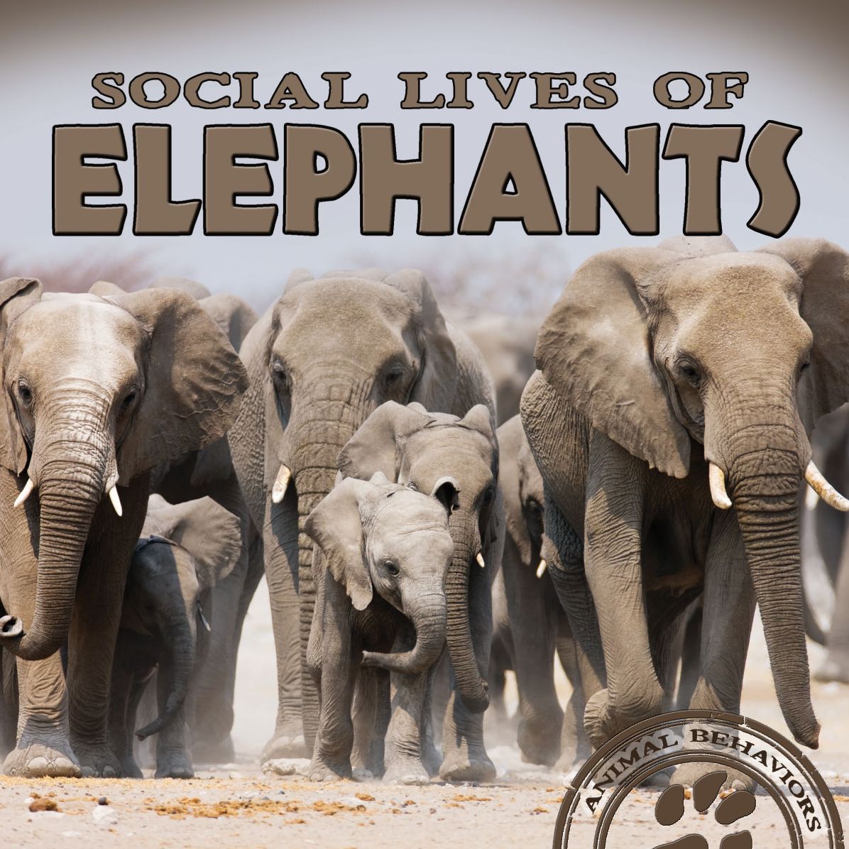 Social Lives of Elephants