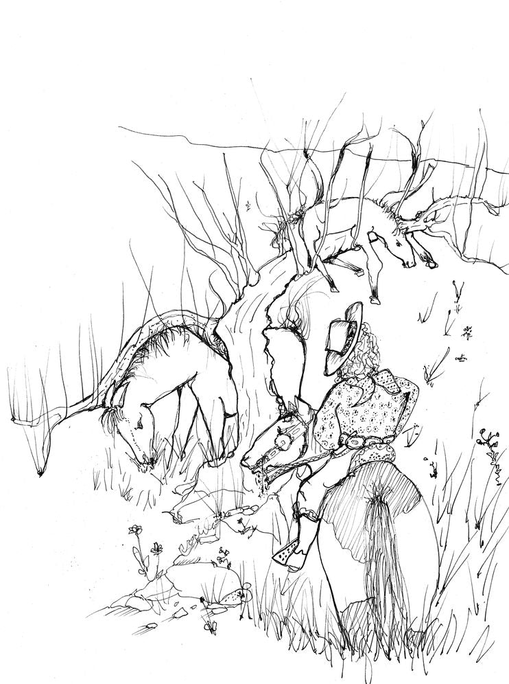 The Canyon Wren: Stories of My Horses Vol. III