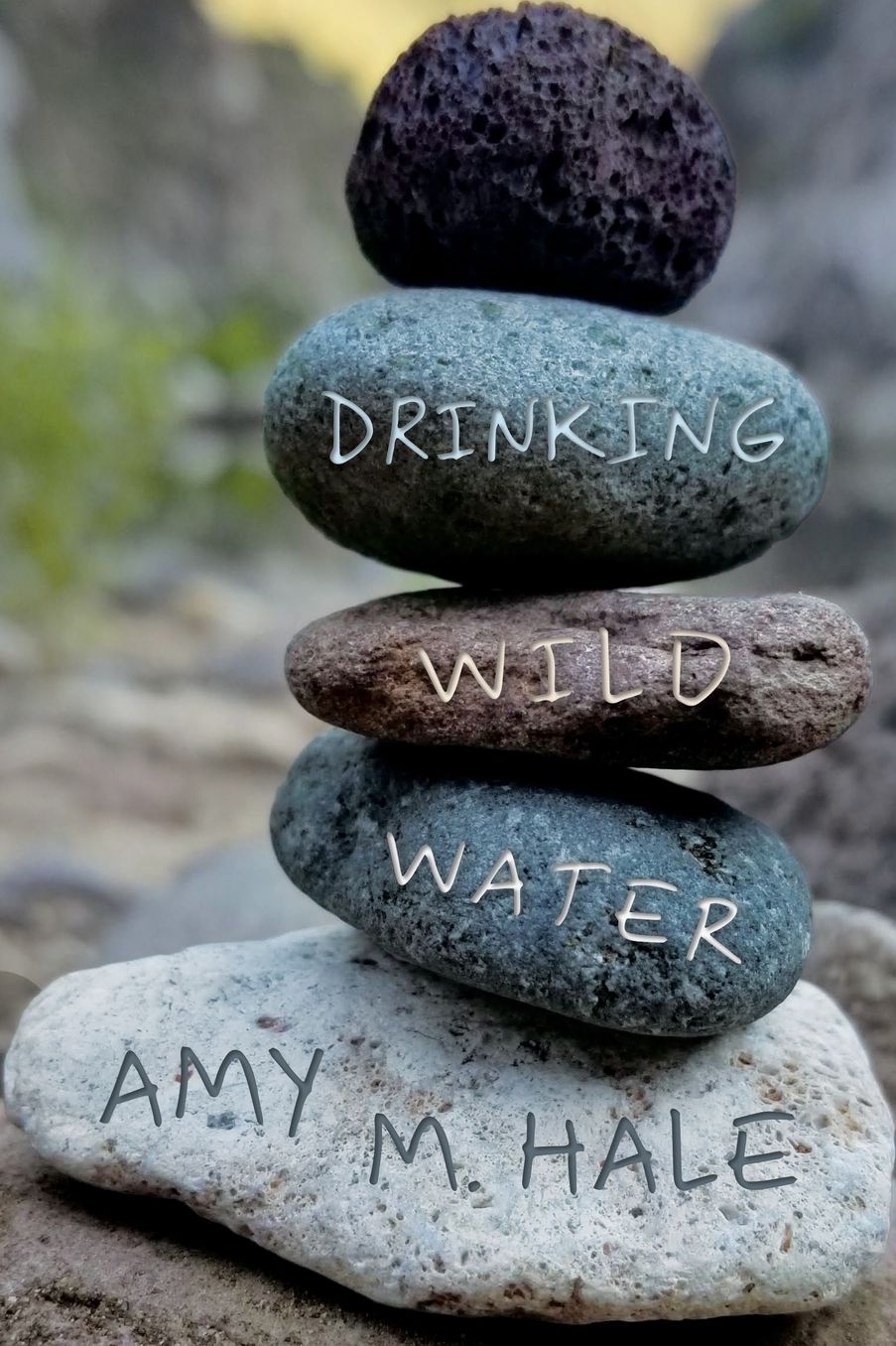 Drinking Wild Water: Essays