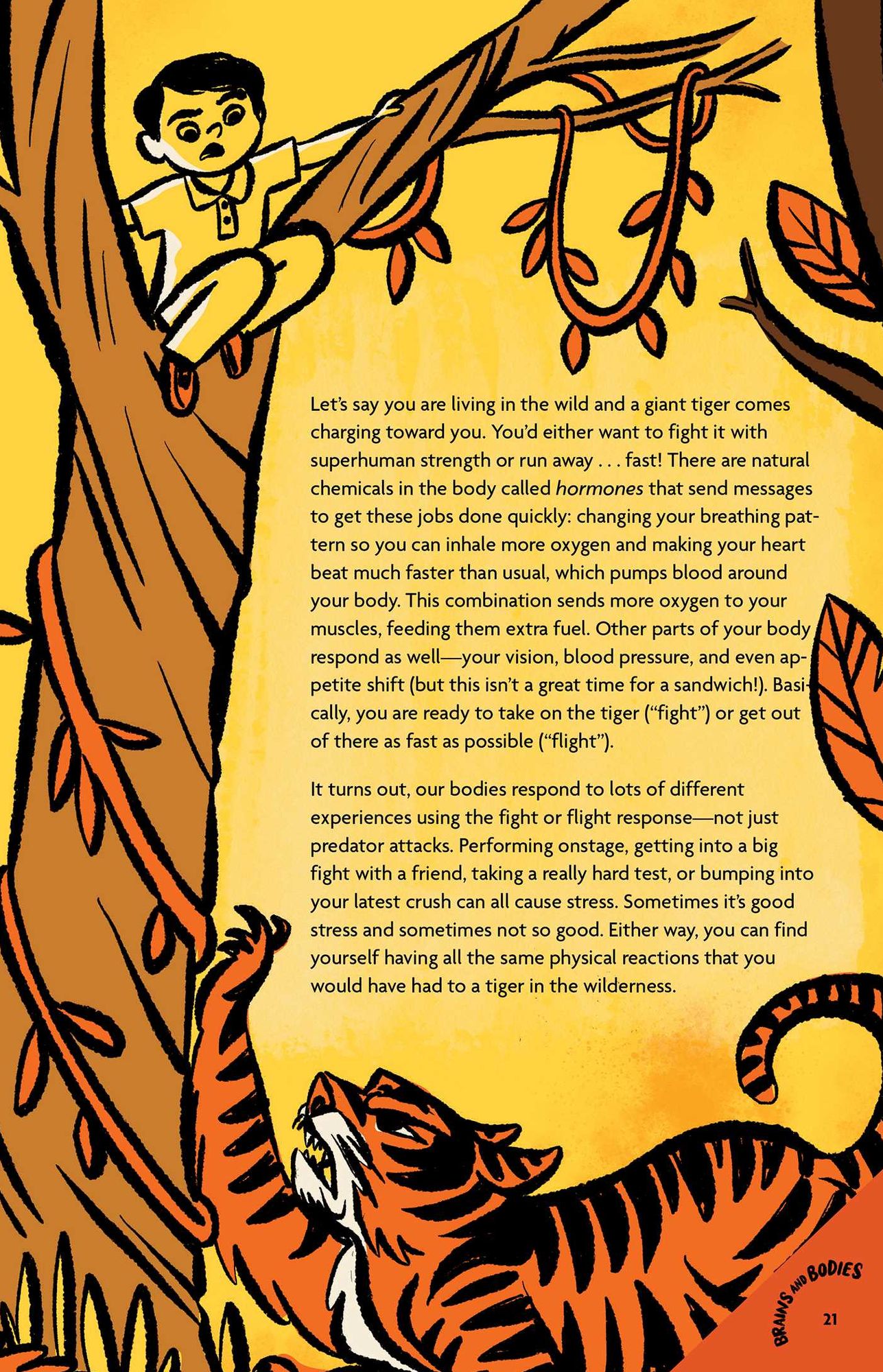 Guy Stuff Feelings: Everything you need to know about your emotions