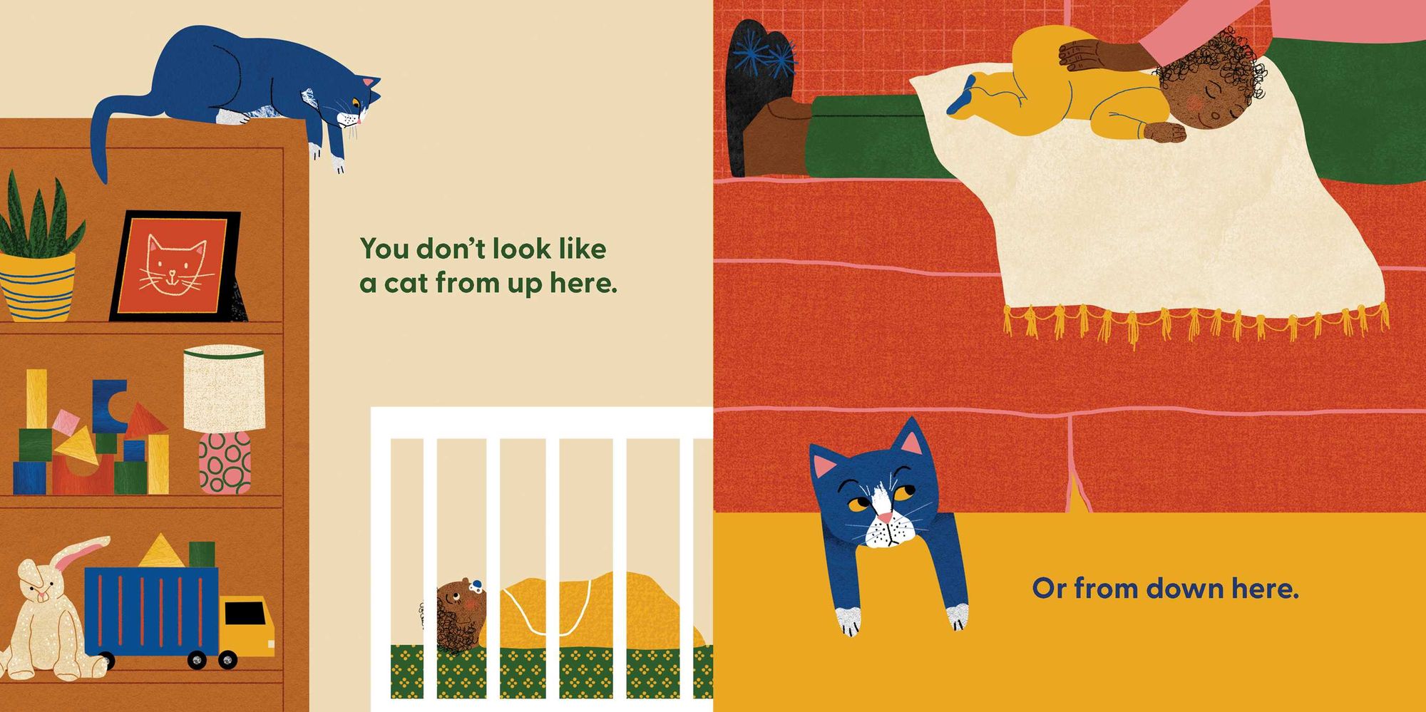 Cat's First Baby: A Board Book
