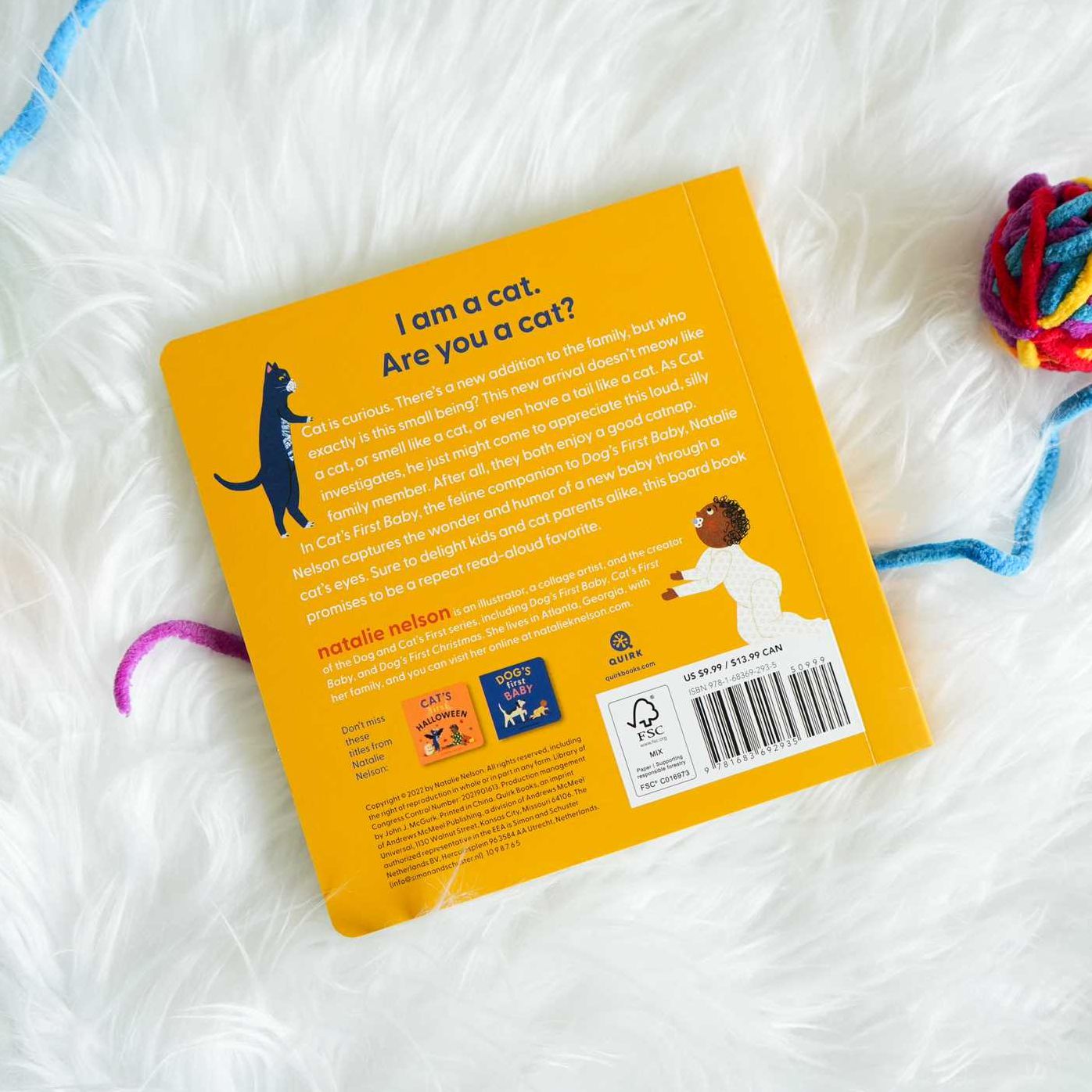 Cat's First Baby: A Board Book