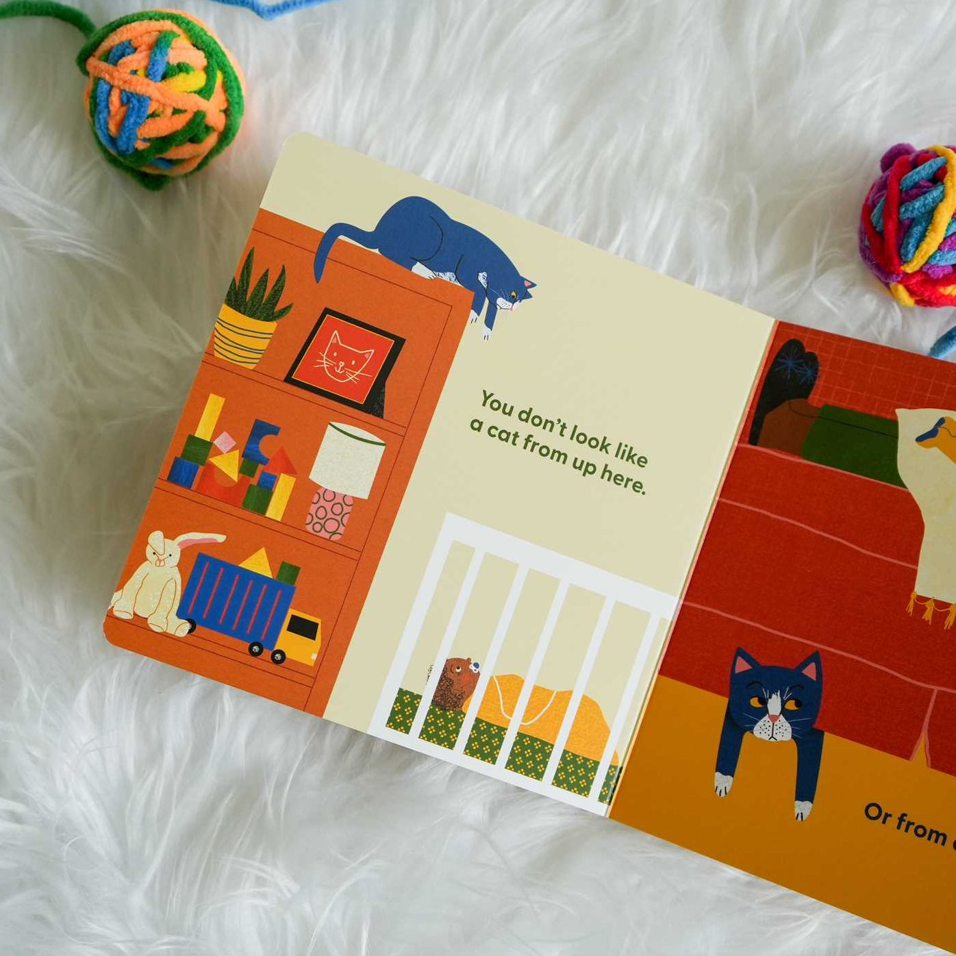 Cat's First Baby: A Board Book